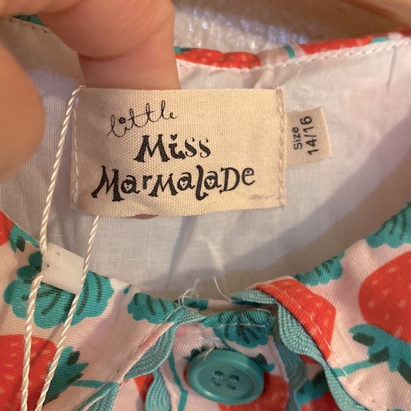 Little Miss Marmalade Vintage "Love You Berry Much" Nellie Dress Size 14 - Picture 9 of 11